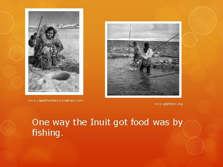 www. caperfrashers. wordpress. com www. glenbow. org One way the Inuit got food was