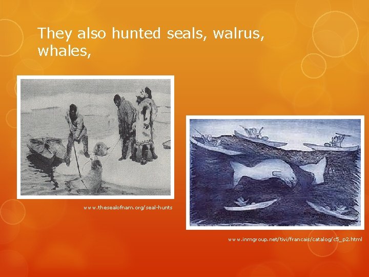 They also hunted seals, walrus, whales, www. thesealofnam. org/seal-hunts www. inmgroup. net/tivi/francais/catalog/c 5_p 2.