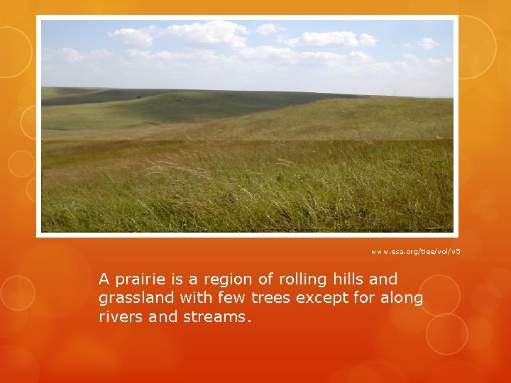 www. esa. org/tiee/vol/v 5 A prairie is a region of rolling hills and grassland