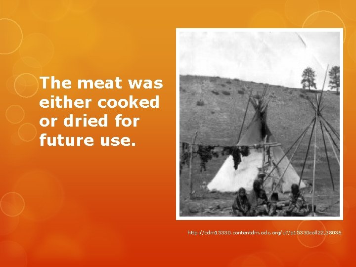 The meat was either cooked or dried for future use. http: //cdm 15330. contentdm.