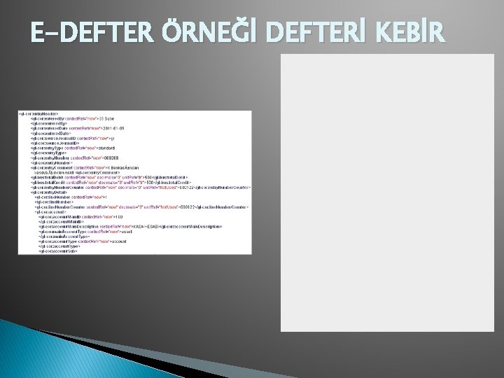 E-DEFTER ÖRNEĞİ DEFTERİ KEBİR 