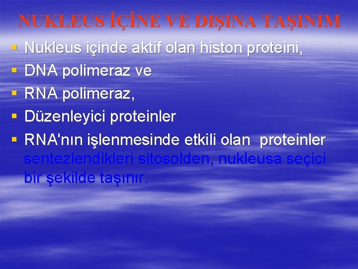 NUKLEUS İÇİNE VE DIŞINA TAŞINIM § § § Nukleus içinde aktif olan histon proteini,