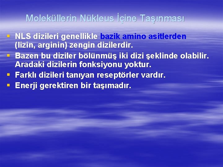Moleküllerin Nükleus İçine Taşınması § NLS dizileri genellikle bazik amino asitlerden (lizin, arginin) zengin