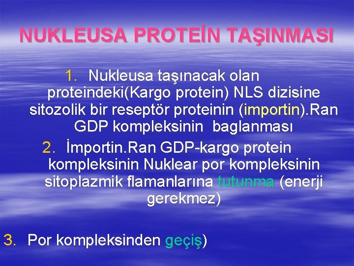 NUKLEUSA PROTEİN TAŞINMASI 1. Nukleusa taşınacak olan proteindeki(Kargo protein) NLS dizisine sitozolik bir reseptör