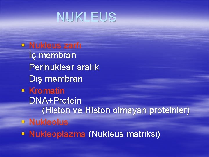 NUKLEUS § Nukleus zarfı İç membran Perinuklear aralık Dış membran § Kromatin DNA+Protein (Histon