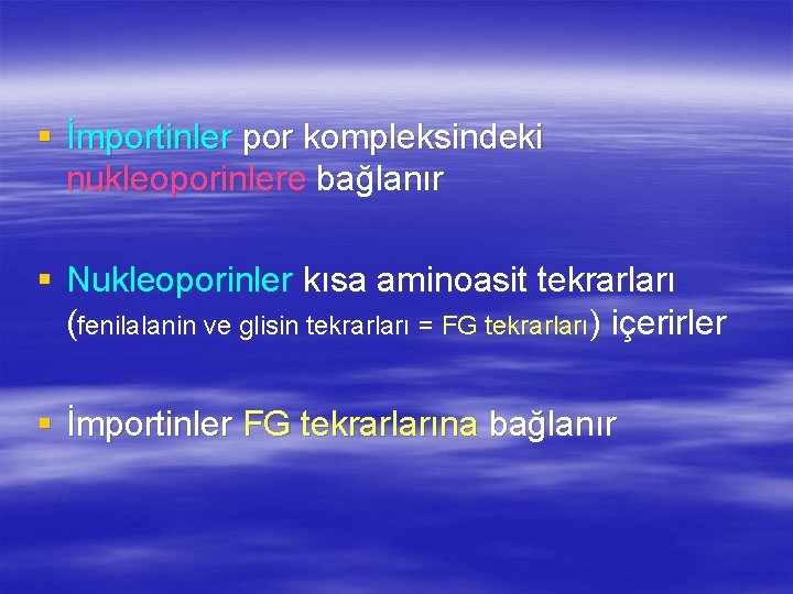 § İmportinler por kompleksindeki nukleoporinlere bağlanır § Nukleoporinler kısa aminoasit tekrarları (fenilalanin ve glisin
