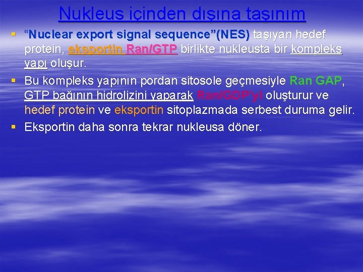 Nukleus içinden dışına taşınım § “Nuclear export signal sequence”(NES) taşıyan hedef protein, eksportin Ran/GTP