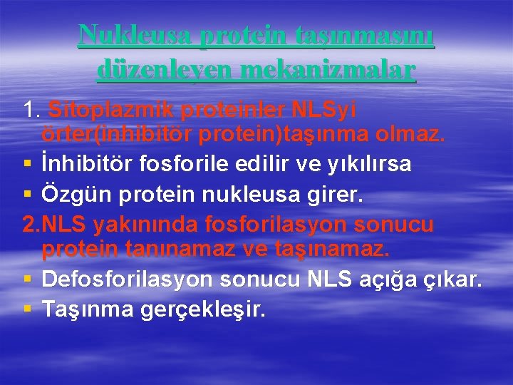 Nukleusa protein taşınmasını düzenleyen mekanizmalar 1. Sitoplazmik proteinler NLSyi örter(inhibitör protein)taşınma olmaz. § İnhibitör