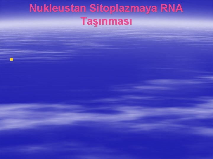Nukleustan Sitoplazmaya RNA Taşınması § 