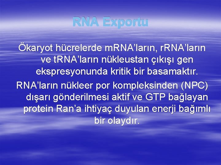 RNA Exportu Ökaryot hücrelerde m. RNA’ların, r. RNA’ların ve t. RNA’ların nükleustan çıkışı gen