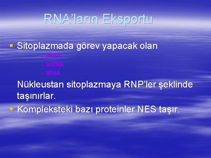 RNA’ların Eksportu § Sitoplazmada görev yapacak olan – r. RNA – m. RNA –