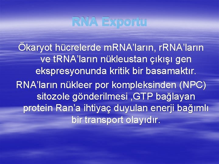 RNA Exportu Ökaryot hücrelerde m. RNA’ların, r. RNA’ların ve t. RNA’ların nükleustan çıkışı gen
