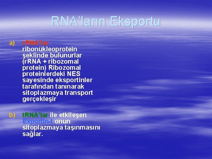 RNA’ların Eksportu a) r. RNA’lar ribonükleoprotein şeklinde bulunurlar (r. RNA + ribozomal protein) Ribozomal