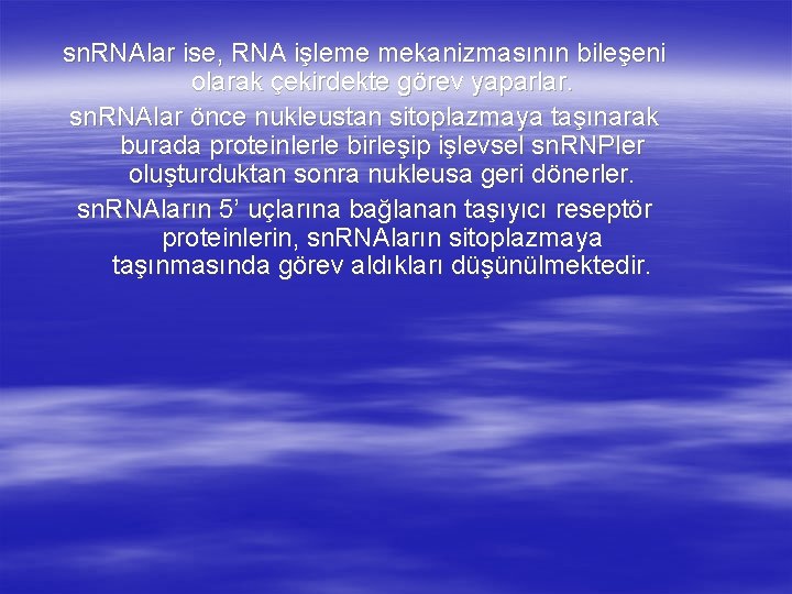 sn. RNAlar ise, RNA işleme mekanizmasının bileşeni olarak çekirdekte görev yaparlar. sn. RNAlar önce