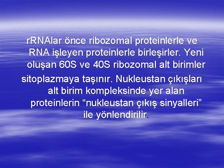 r. RNAlar önce ribozomal proteinlerle ve RNA işleyen proteinlerle birleşirler. Yeni oluşan 60 S