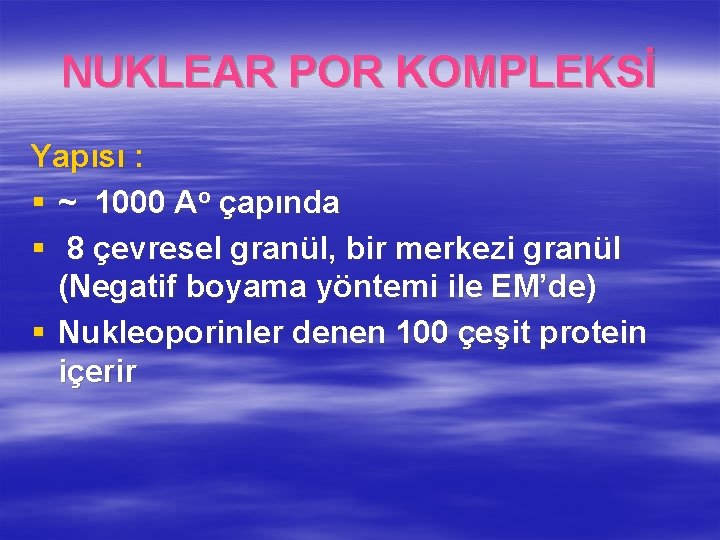 NUKLEAR POR KOMPLEKSİ Yapısı : § ~ 1000 Ao çapında § 8 çevresel granül,