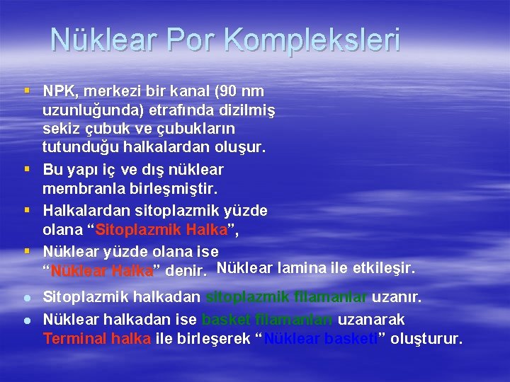 Nüklear Por Kompleksleri § NPK, merkezi bir kanal (90 nm uzunluğunda) etrafında dizilmiş sekiz