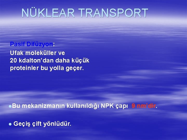 NÜKLEAR TRANSPORT Pasif Difüzyon: Ufak moleküller ve 20 kdalton’dan daha küçük proteinler bu yolla