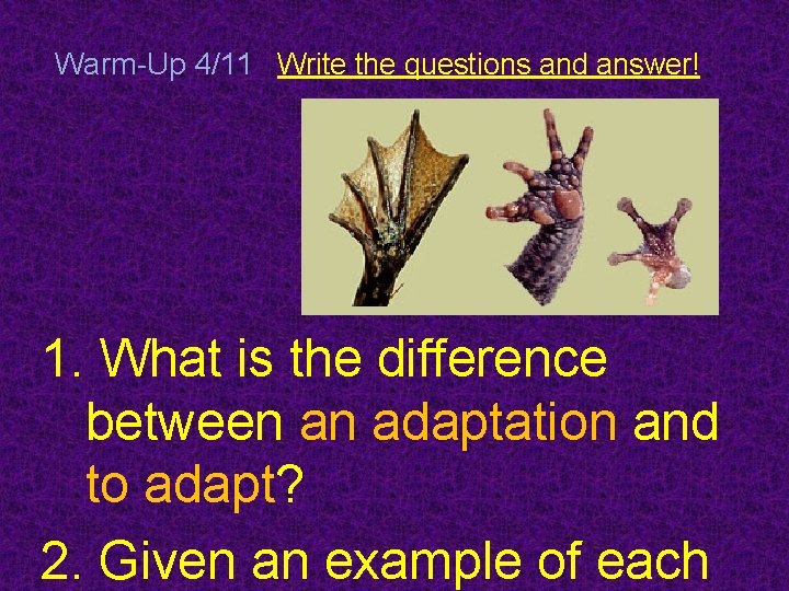 Warm-Up 4/11 Write the questions and answer! 1. What is the difference between an