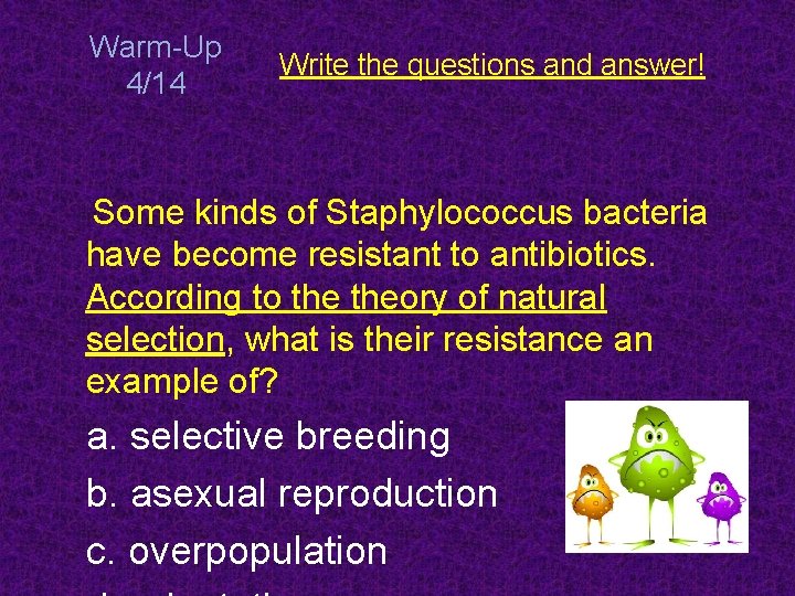 Warm-Up 4/14 Write the questions and answer! Some kinds of Staphylococcus bacteria have become