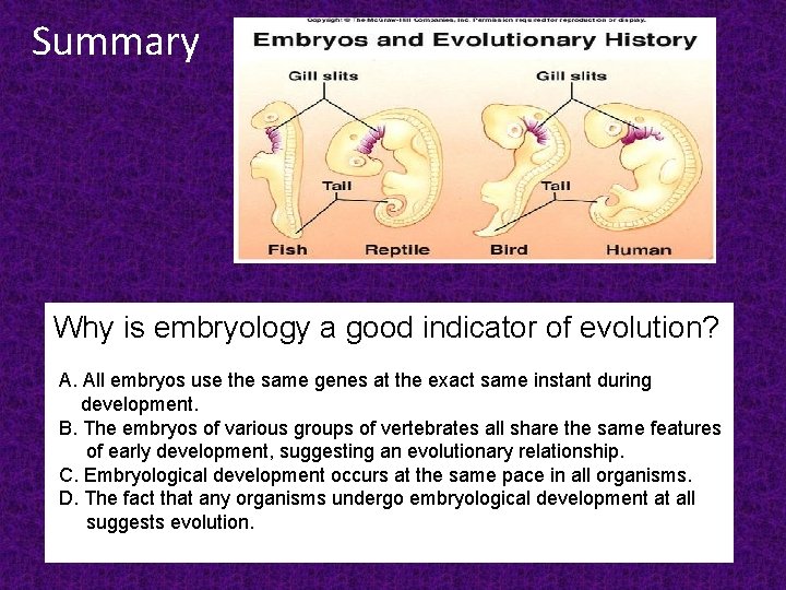 Summary Why is embryology a good indicator of evolution? A. All embryos use the