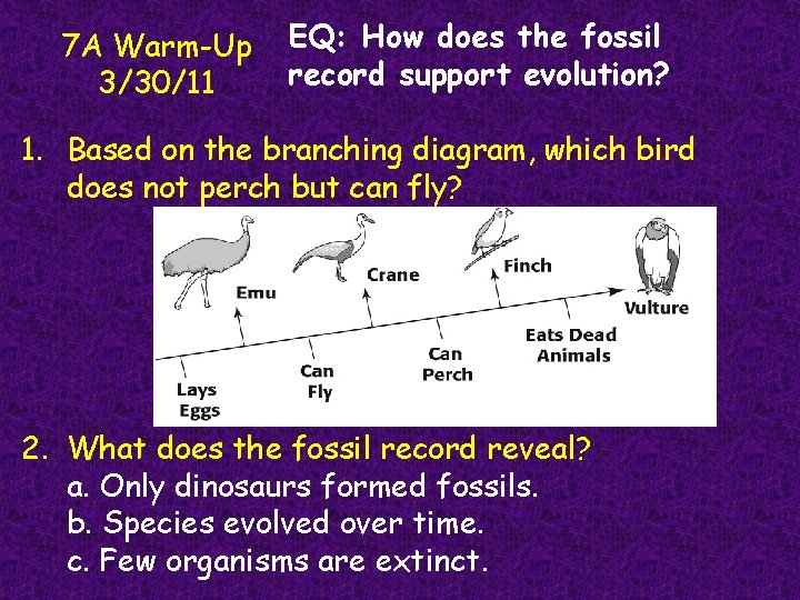 7 A Warm-Up 3/30/11 EQ: How does the fossil record support evolution? 1. Based