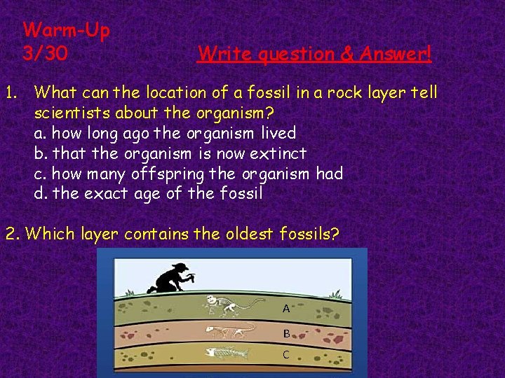 Warm-Up 3/30 Write question & Answer! 1. What can the location of a fossil