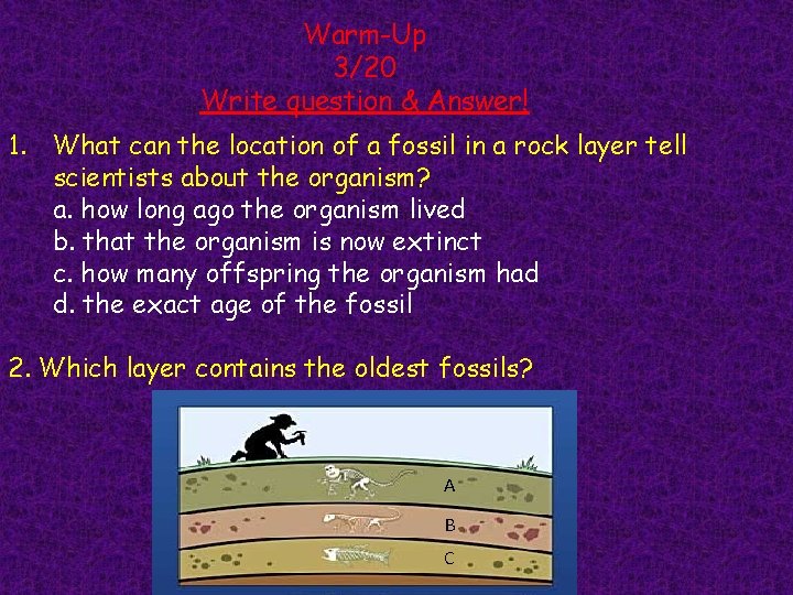Warm-Up 3/20 Write question & Answer! 1. What can the location of a fossil