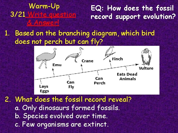 Warm-Up 3/21 Write question & Answer! EQ: How does the fossil record support evolution?