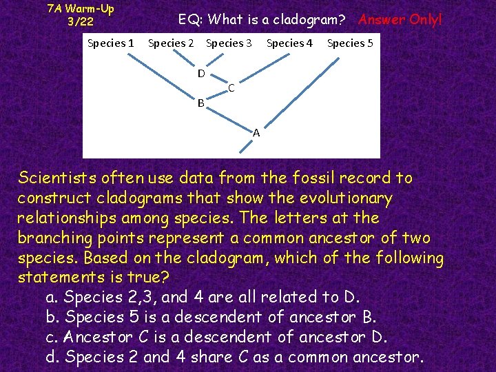 7 A Warm-Up 3/22 EQ: What is a cladogram? Answer Only! Species 1 Species