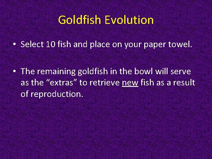 Goldfish Evolution • Select 10 fish and place on your paper towel. • The