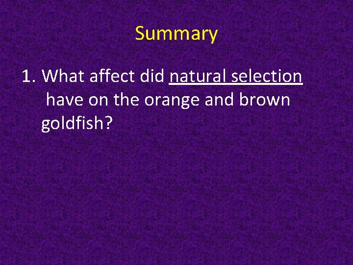 Summary 1. What affect did natural selection have on the orange and brown goldfish?