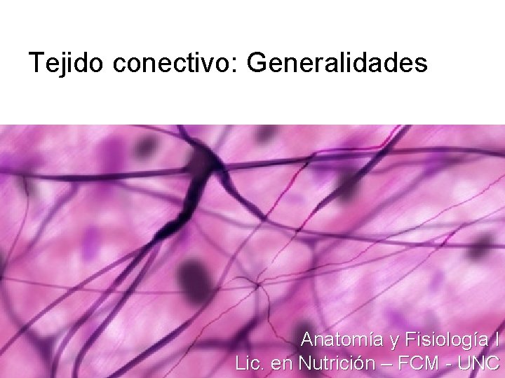 Tejido conectivo: Generalidades Anatomía y Fisiología I Lic. en Nutrición – FCM - UNC