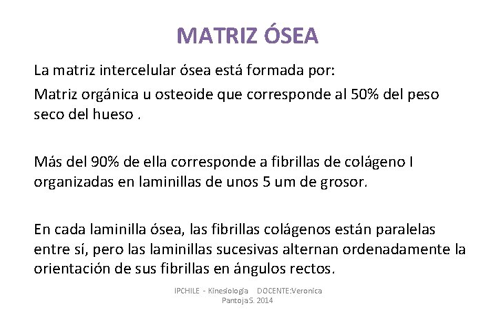 MATRIZ ÓSEA La matriz intercelular ósea está formada por: Matriz orgánica u osteoide que