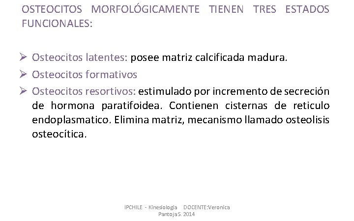 OSTEOCITOS MORFOLÓGICAMENTE TIENEN TRES ESTADOS FUNCIONALES: Ø Osteocitos latentes: posee matriz calcificada madura. Ø