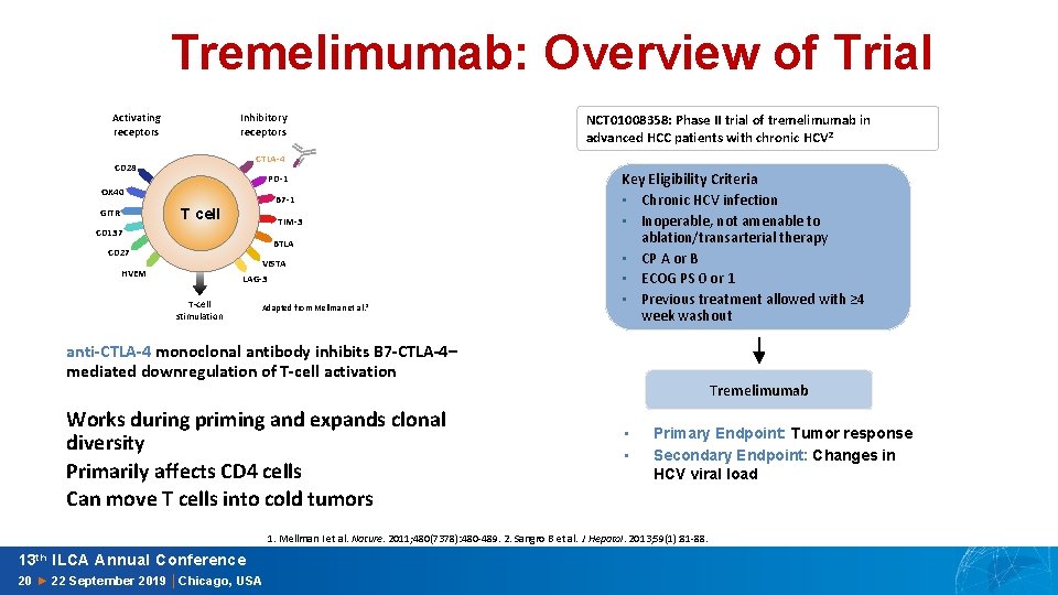 Tremelimumab: Overview of Trial Activating receptors Inhibitory receptors CTLA-4 CD 28 PD-1 OX 40