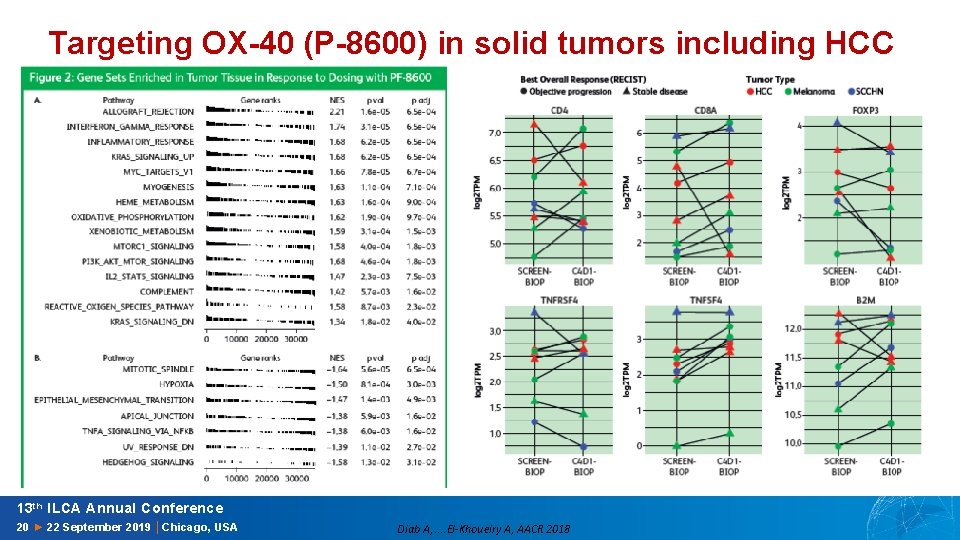 Targeting OX-40 (P-8600) in solid tumors including HCC 13 th ILCA Annual Conference 20