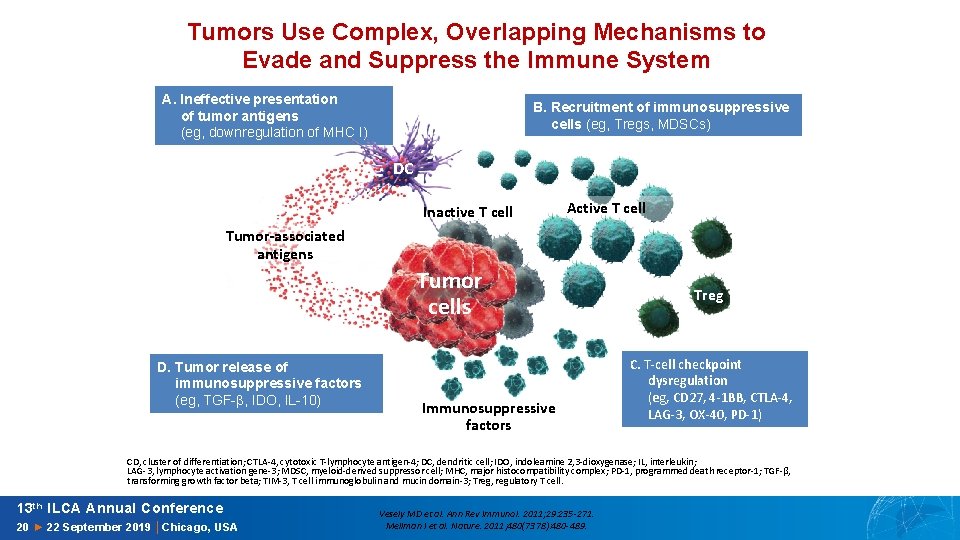 Tumors Use Complex, Overlapping Mechanisms to Evade and Suppress the Immune System A. Ineffective