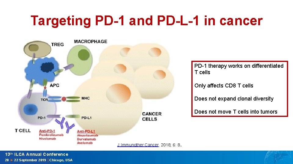 Targeting PD-1 and PD-L-1 in cancer PD-1 therapy works on differentiated T cells Only