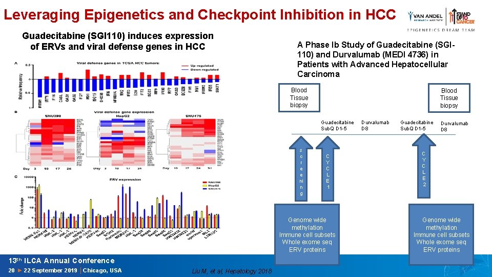 Leveraging Epigenetics and Checkpoint Inhibition in HCC Guadecitabine (SGI 110) induces expression of ERVs