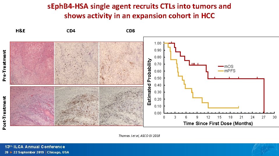 s. Eph. B 4 -HSA single agent recruits CTLs into tumors and shows activity