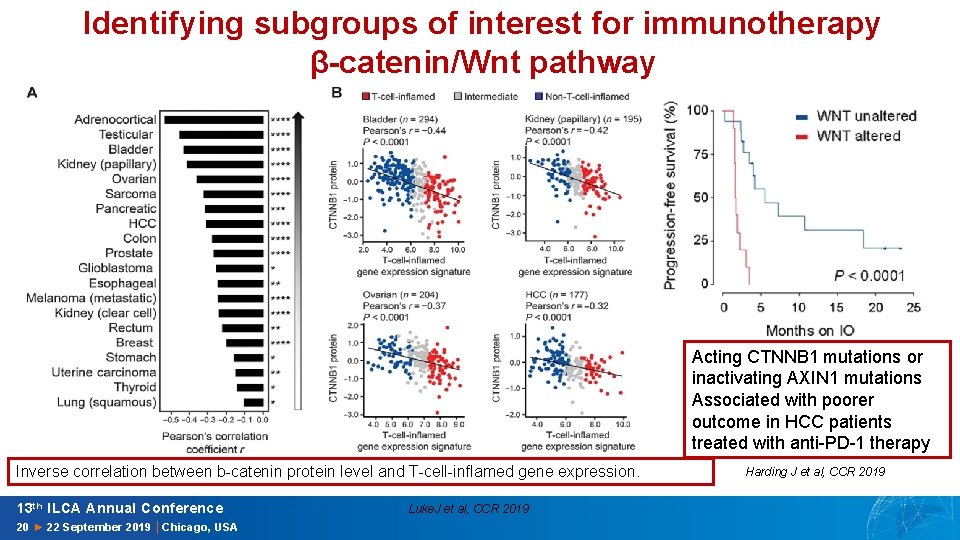 Identifying subgroups of interest for immunotherapy β-catenin/Wnt pathway Acting CTNNB 1 mutations or inactivating
