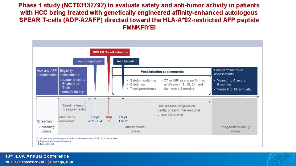 Phase 1 study (NCT 03132792) to evaluate safety and anti-tumor activity in patients with