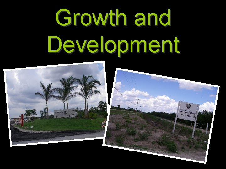 Growth and Development 