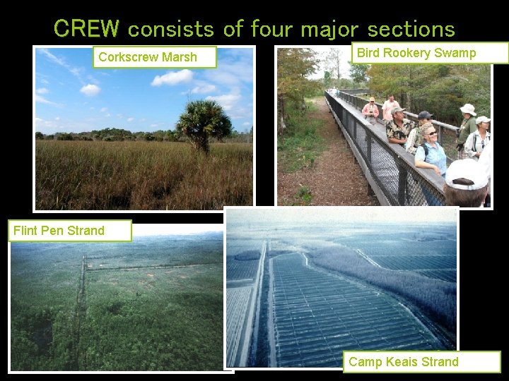 CREW consists of four major sections Corkscrew Marsh Bird Rookery Swamp Flint Pen Strand