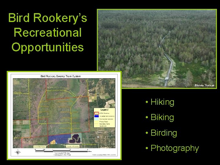 Bird Rookery’s Recreational Opportunities Brenda Thomas • Hiking • Birding • Photography 