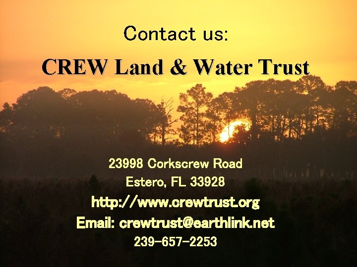 Contact us: CREW Land & Water Trust 23998 Corkscrew Road Estero, FL 33928 http: