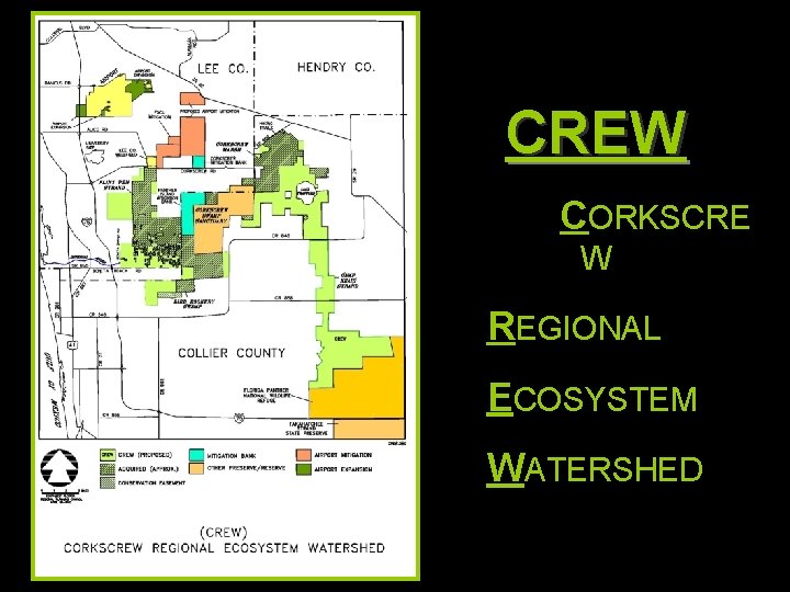 CREW CORKSCRE W REGIONAL ECOSYSTEM WATERSHED 