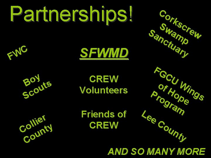 Partnerships! C FW SFWMD y o B ts u o Sc r e i