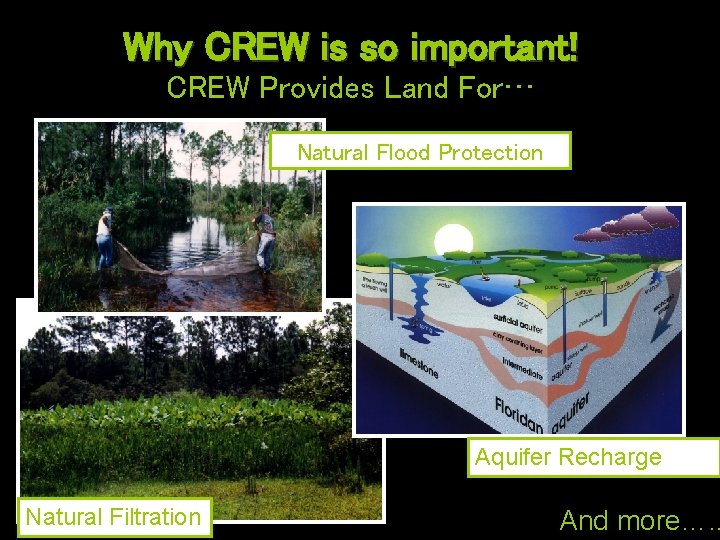 Why CREW is so important! CREW Provides Land For… Natural Flood Protection Aquifer Recharge